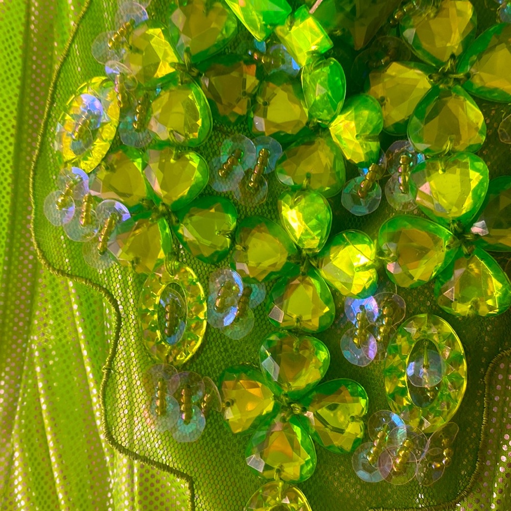 Adult Small Tinkerbell 🤍✨costume light green with jewels and glitter skirt NWOT